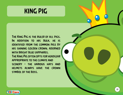 King Pig Toy Care