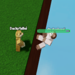 I was playing Bedwars, and these two hackers were ruining the game. The  first one is using the bow which is knocking u far away. The second is  no-clipping and all. I hate the game for this reason : r/RobloxBedwars