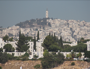 El-Tor.png