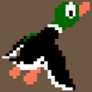 Duck Hunt Duck