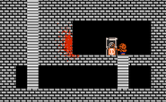 Toad's blood splattered onto the dungeon's wall