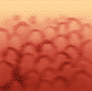 Audience.png (12 KB)