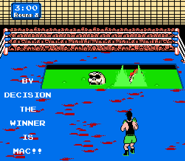 Mario falling into an acid pool.png (15 KB)