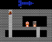 Toad seen in this dungeon segment, next to a Bullet Bill Blaster