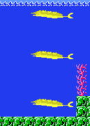 Three flashing Swordfish