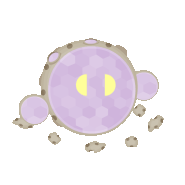 Halfoon
