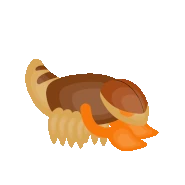 Psicorp.gif (925 KB) Psicorp