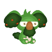 Bushy Koalaero