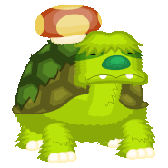 Tortobello