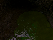Vlcsnap-2019-04-30-15h21m35s834.png