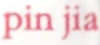 Nav pinjia