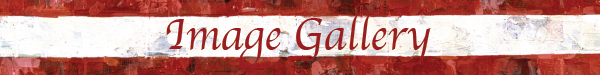 Gallery images-01.png