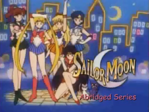 Sailor Moon Abridged (Megami33), Abridged Series Wiki