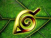 Leaf Symbol