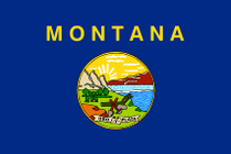 The flag of Montana.