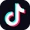 TikTok Icon