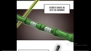 Bamboo Stick