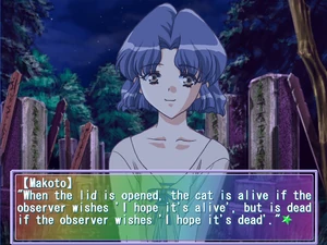 Кот Шредингера и изменение истории