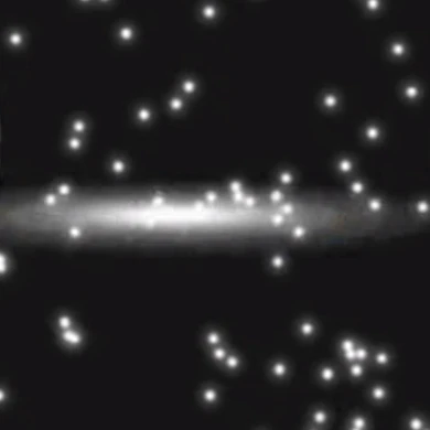 Монарх Поинтландии