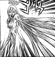 Claymore-c78-16.png (100 КБ)