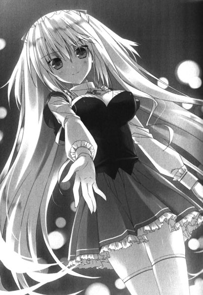 Pin by Night Wolf on Absolute Duo