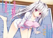 800px-Absolute Duo Volume 4 Colour 2