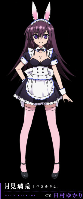 absolute duo tsukimi rito animal ears bunny ears character design