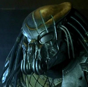 Celtic avp