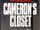 Cameron's Closet (Brandner)