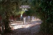 Pinehurst Youth Development Center.png