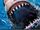 Shark Zone
