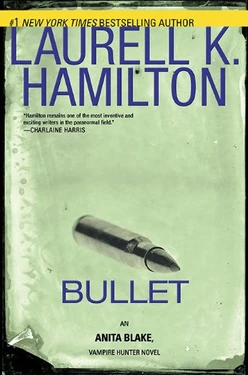 Bullet cover