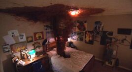 Glen Lantz Bed.jpg
