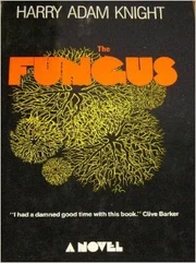 Thefungusknight
