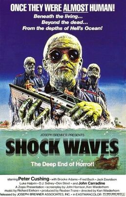 Shock Waves poster