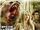 Grizzly Rage