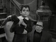Herman's child psychology