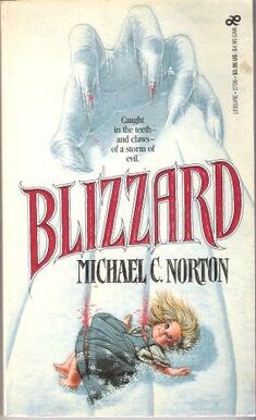 Blizzard michael norton leisure.jpg