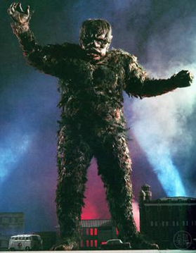 Gaira