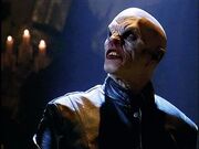 Master buffy