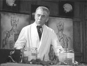 Dr Waldman