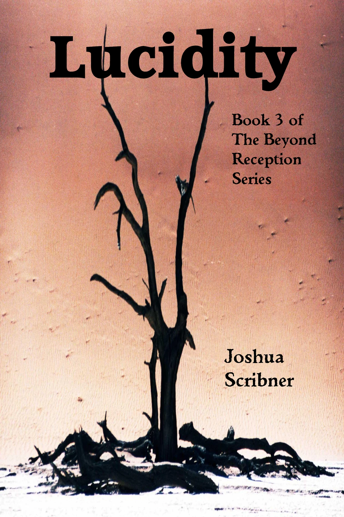 Lucidity (Scribner) | Absolute Horror Wiki | Fandom