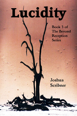 Lucidity cover.jpg