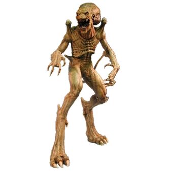 Pumpkinhead MS