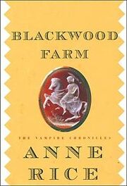 Blackwood Farm cover.jpg