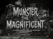 Munster the Magnificent