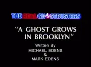 Aghostgrowsinbrooklyn