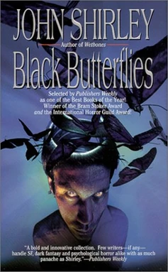 Black Butterflies