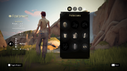 Absolver Equipment window