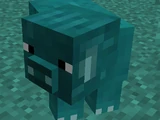 Anti-Pig